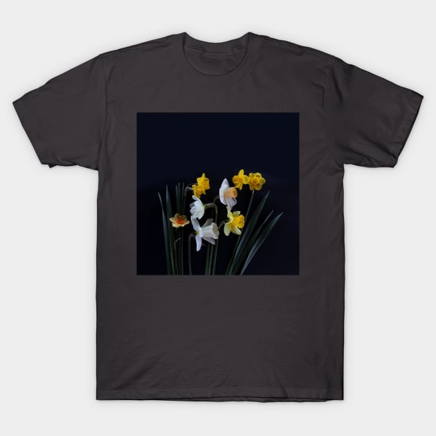 Daffodils T-Shirt by IrishViking2
